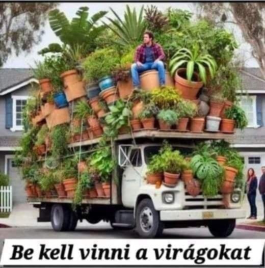 humor